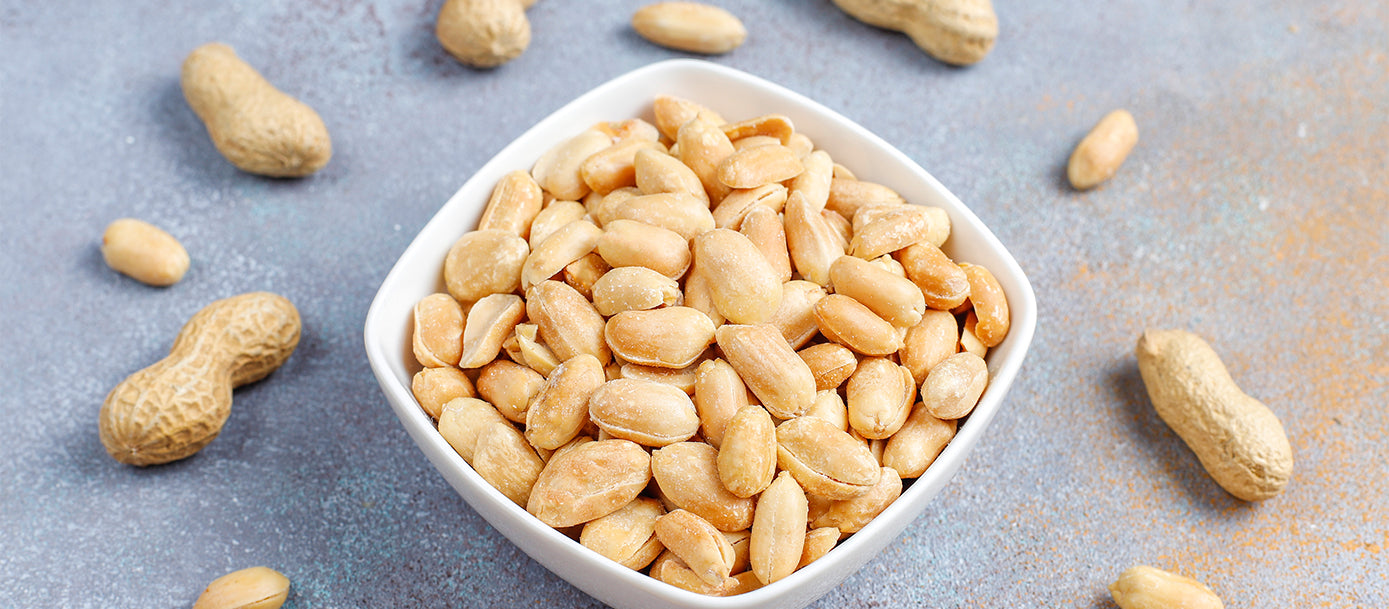 1 Avuç Yer Fıstığı 26 gr Protein Demek!