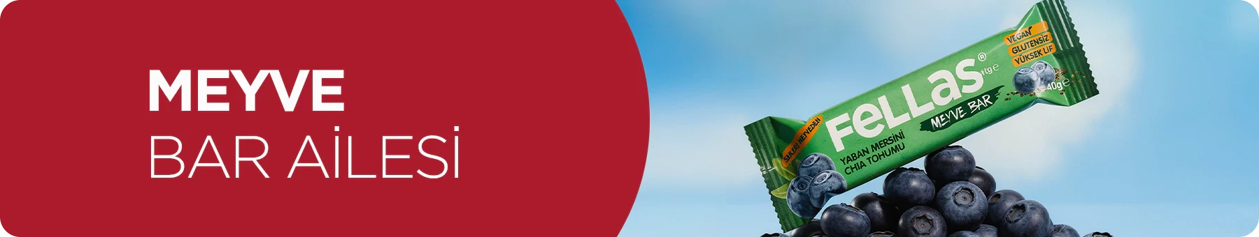 Meyve Bar