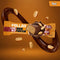 Çikolata Kaplı Yüksek Protein Bar - Yer Fıstıklı (40 g) x 12 Adet