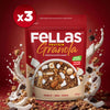 Protein Granola - Hindistan Cevizi & Kakao (270 g) - 3'lü Paket